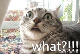 国外的公民能享受到的廉价中国制造商品,而本国居民却无福享受