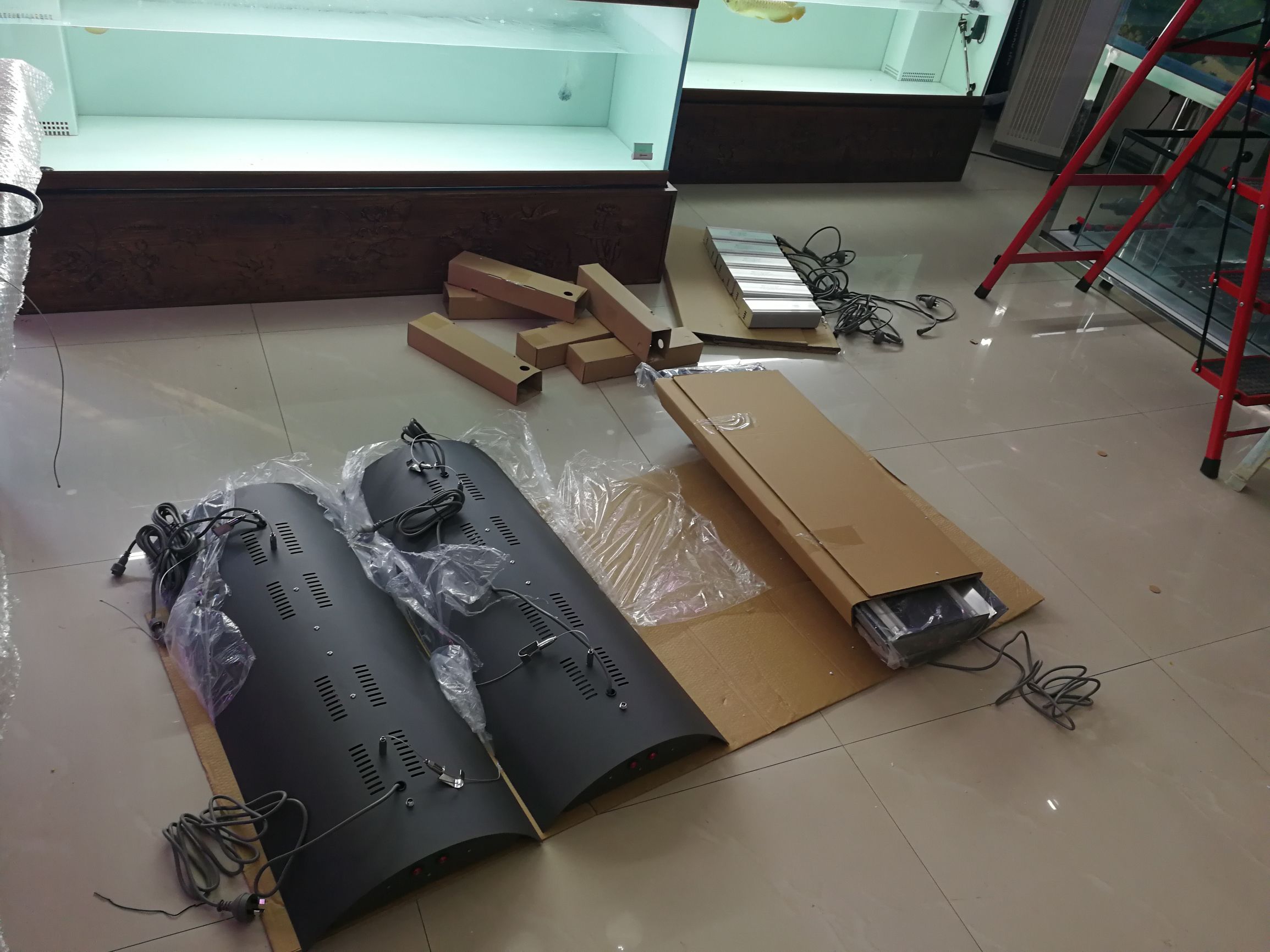 水草缸可以养龙鱼吗,震撼草缸