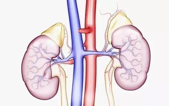 就医搜｜尿路感染偏爱女性女性患病率是男性8-10倍