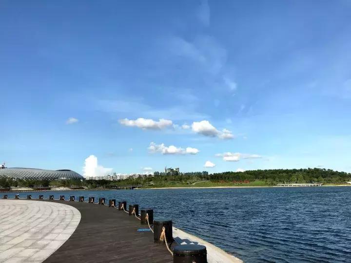 工资低怎么在深圳生活,月薪1万在深圳生活的真实写照