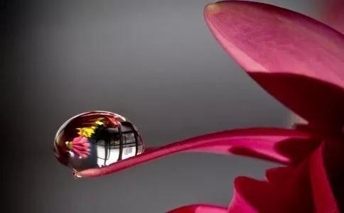 一颗平常心人生就快乐,平常心快乐生活