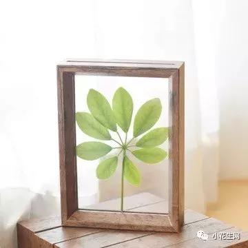 只有20元钱的文具,不过30块的高颜值文具盒