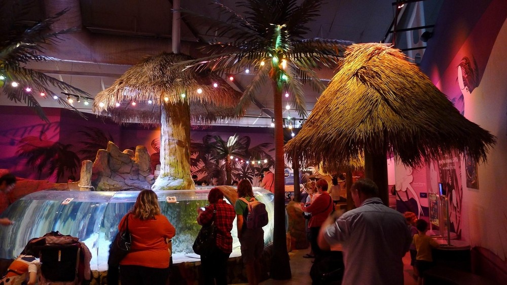 悉尼旅游攻略必备,悉尼旅游攻略一天带你玩遍悉尼