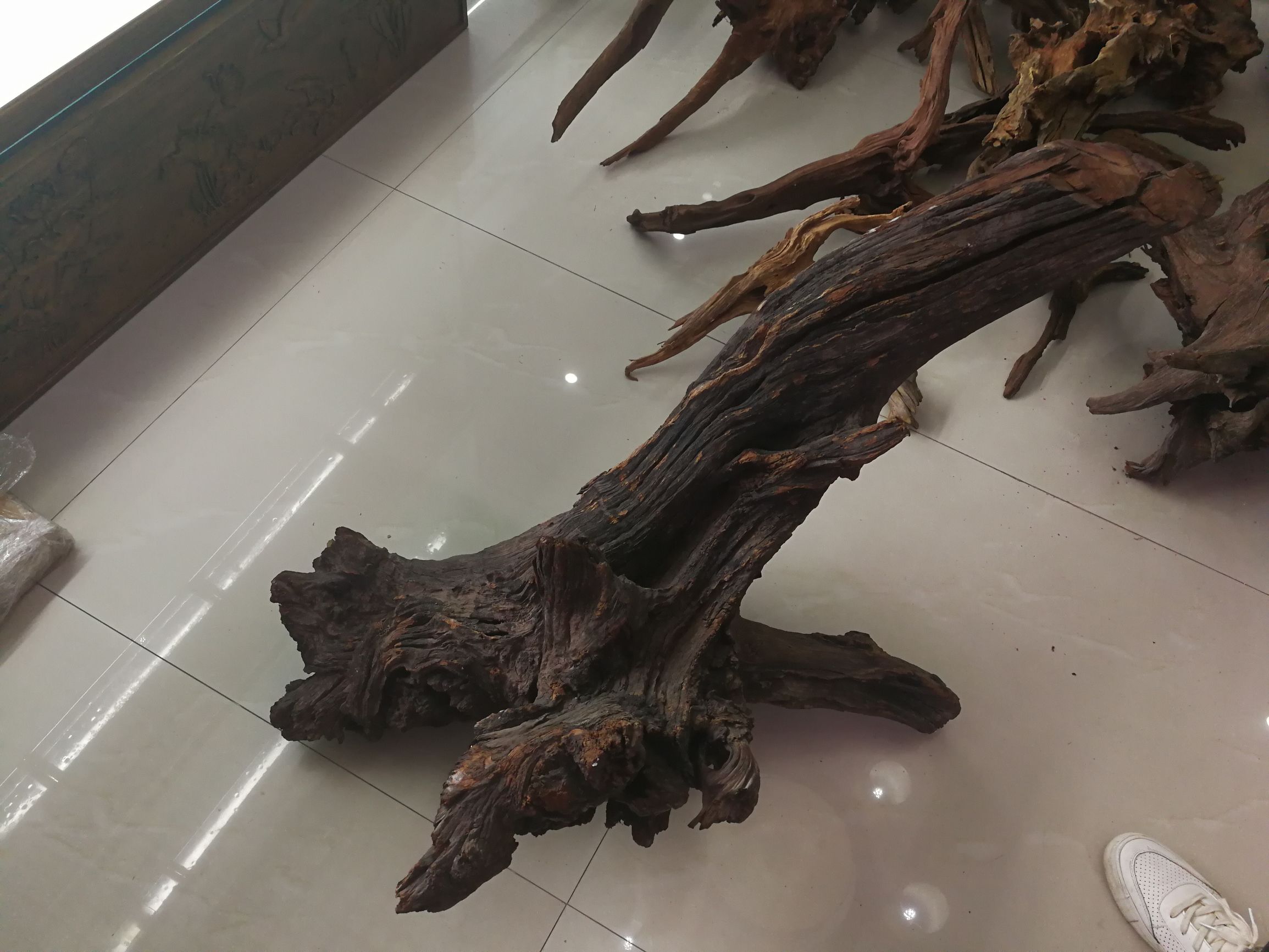 大墙鱼缸,40公分的缸养40的龙鱼