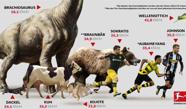 22-23赛季德甲最佳阵容,德甲最佳半程阵容