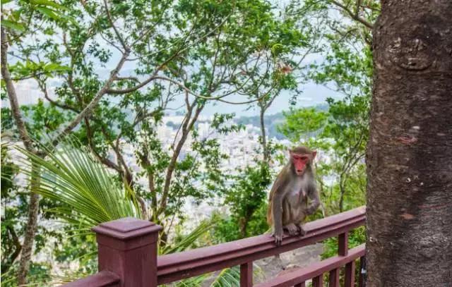 三亚600块钱的酒店,6人三亚住宿性价比高的地方