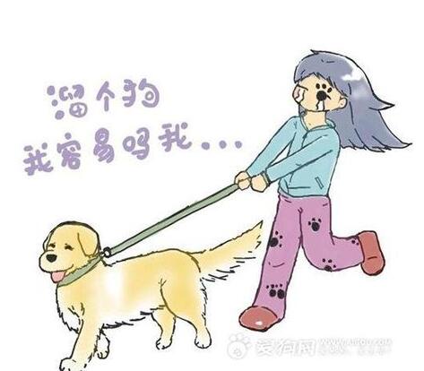 家有乖乖狗,家有乖乖小狗扑人