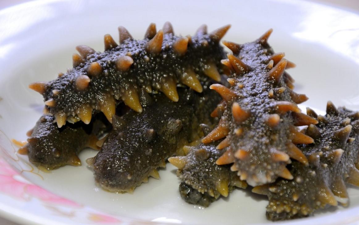 海参的做法怎么吃最营养,海参怎么吃最有营养补肾