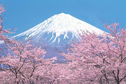 日本霓虹城市,日本霓虹风景