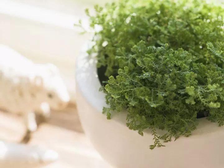 深水爆破的小说,小说谍战深海第三部