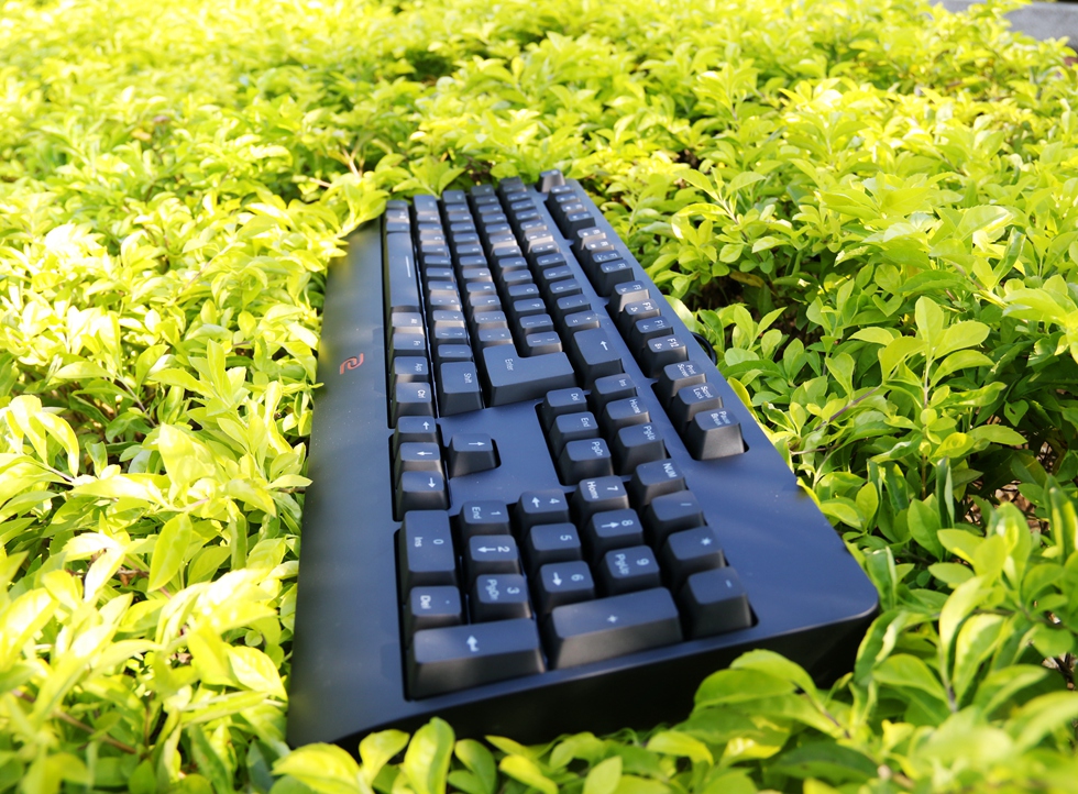 这个键盘头有些铁—ZOWIECELERITASII机械键盘