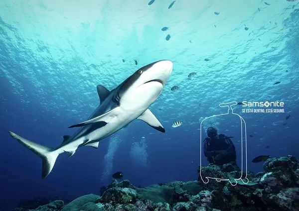 新秀丽samsonite箱包,新秀丽samsonite品牌怎么样