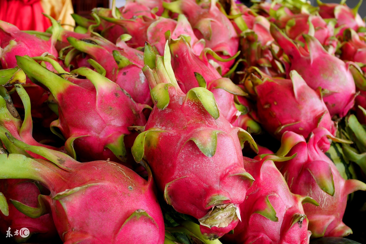 火龙果为什么很难吃,火龙果个头不大怎么办