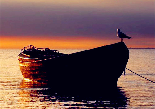 2019年九月四号生肖运势吉凶,一九年九月二十二日特吉生肖运势