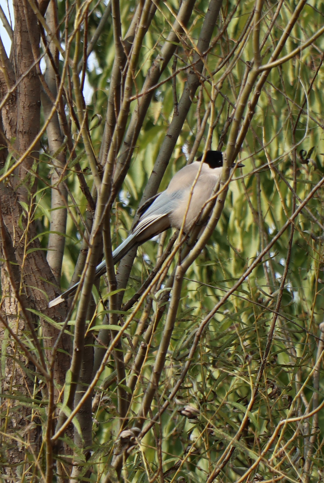 佳能eosm6二代拍照指南,佳能m6二代拍摄作品欣赏