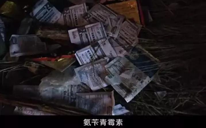 看了让人非常难受的高分电影,这辈子都不想看的电影