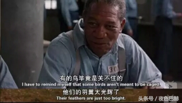 最让你心酸的一句电影台词,有哪些电影台词让你潸然泪下