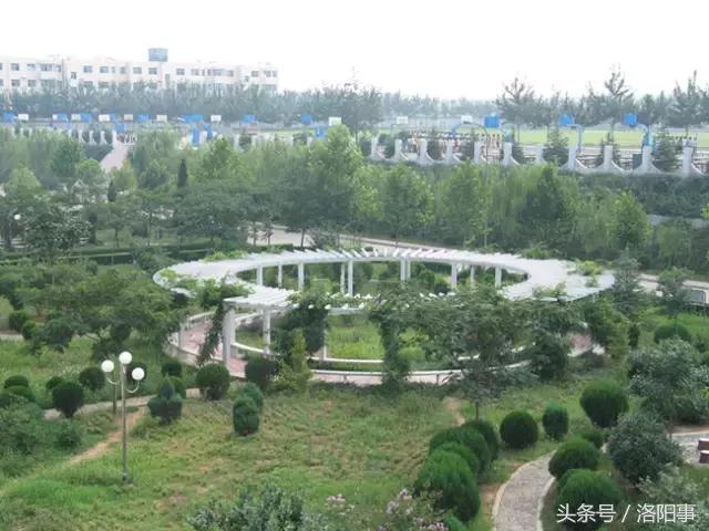 洛阳最有魅力的高中,洛阳市最牛逼的高等专科学校