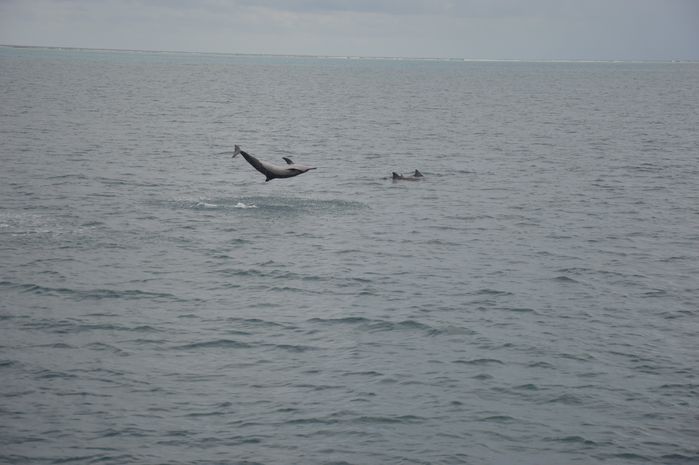 马尔代夫豪华蜜月游,马尔代夫六星级