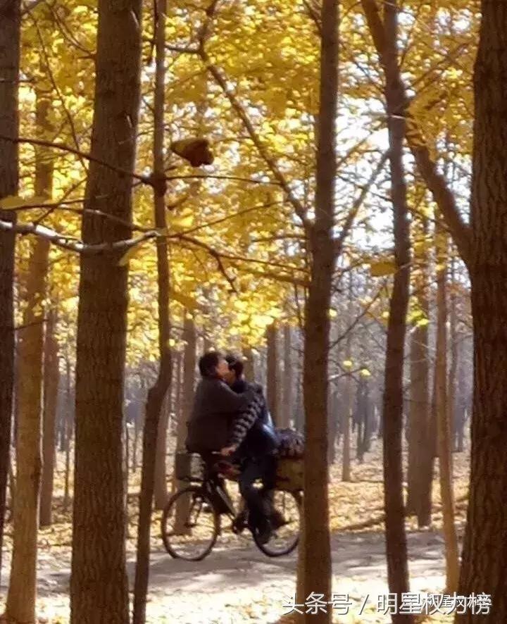 鹿晗演绎科技范儿，陈伟霆荷尔蒙爆棚？路透来袭你最期待哪部作品