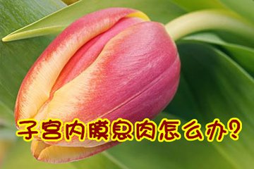 手术后复查发现肿物并没切除,子宫内膜息肉手术后b超复查