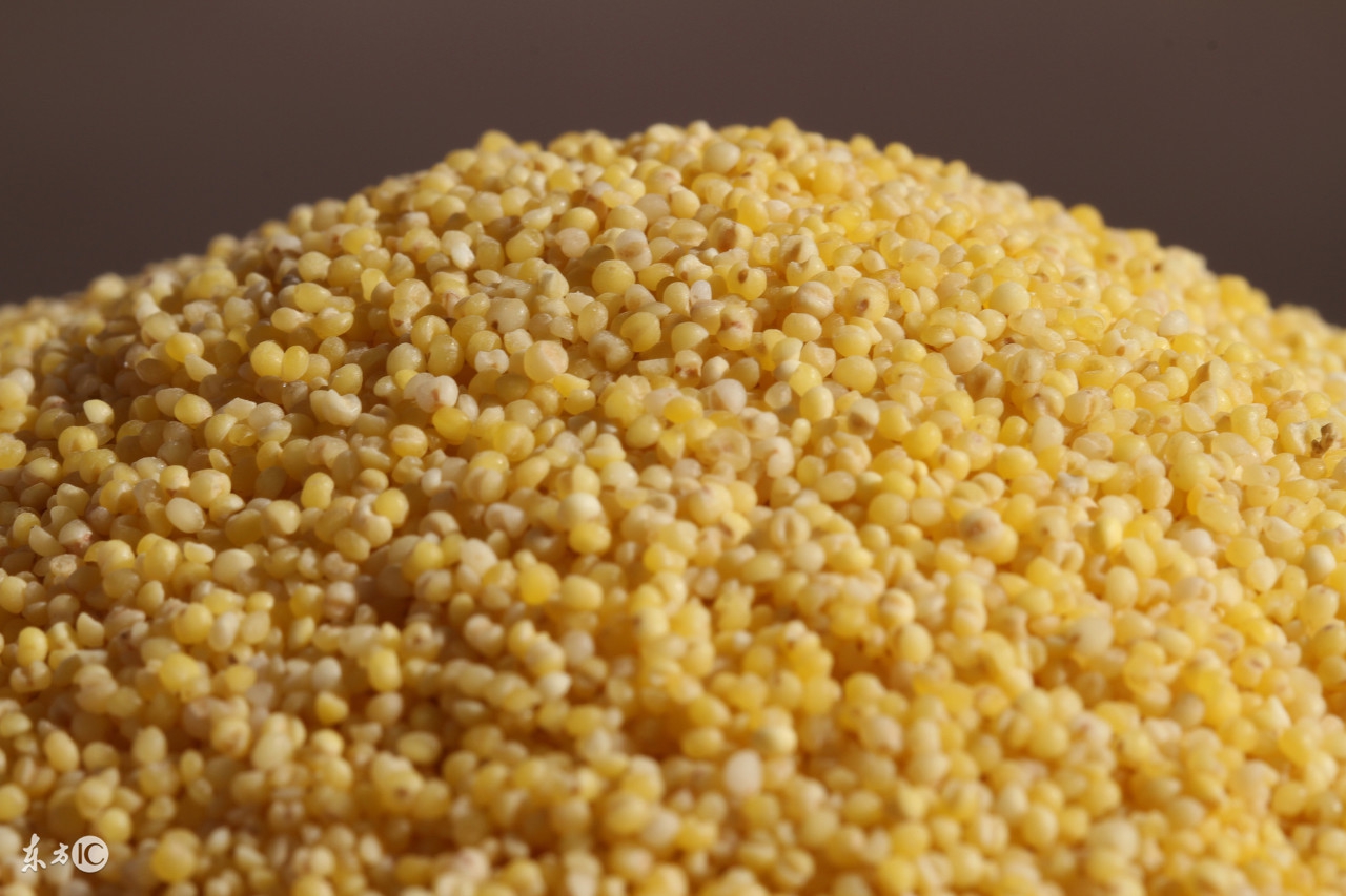 沁州县黄米,沁州黄米小米