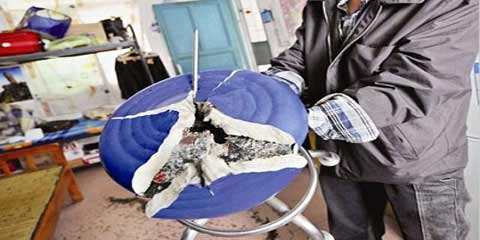 菊花藏雷,菊花下藏雷图片