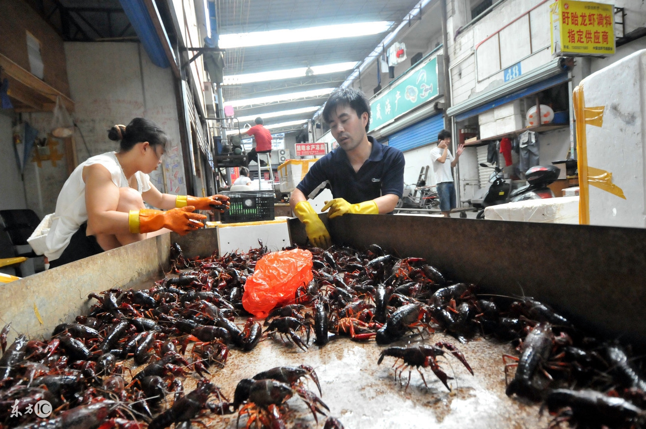 广东环球水产批发市场,广东肇庆水产批发市场