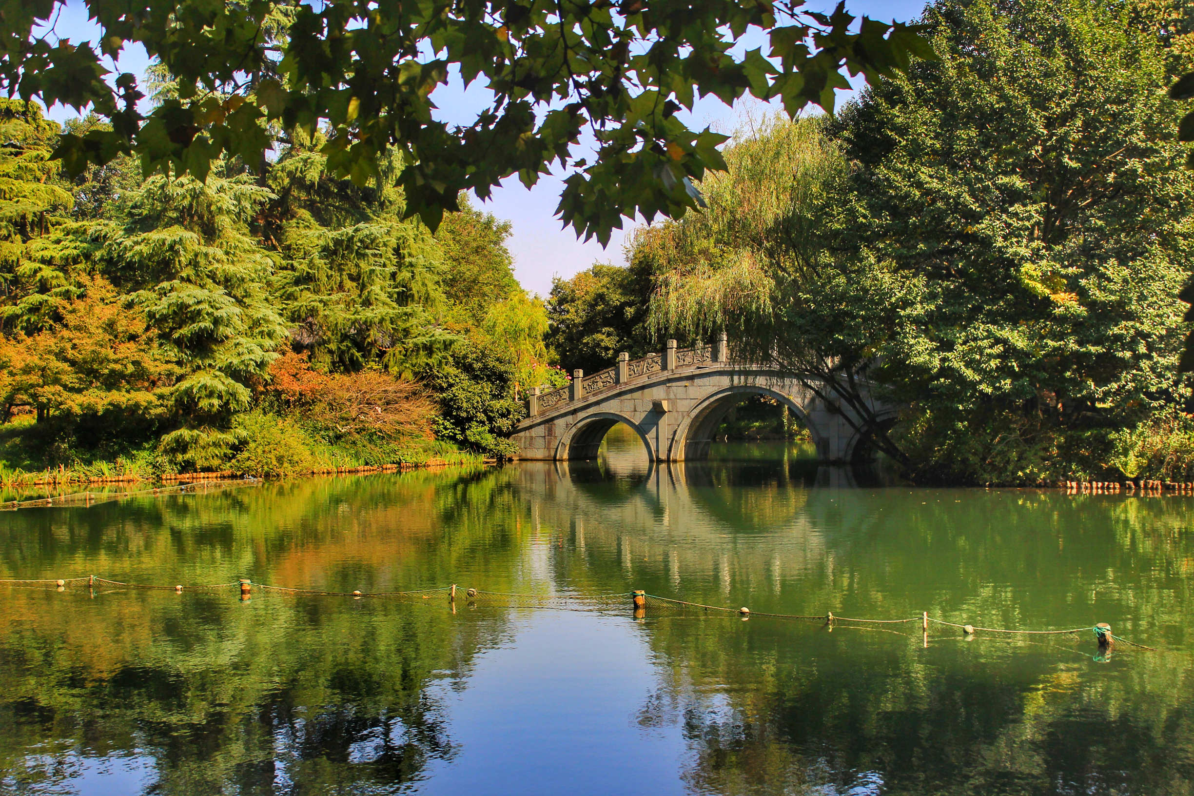 罗莱夏朵杭州紫萱度假村招聘,罗莱夏朵杭州紫萱度假村团购