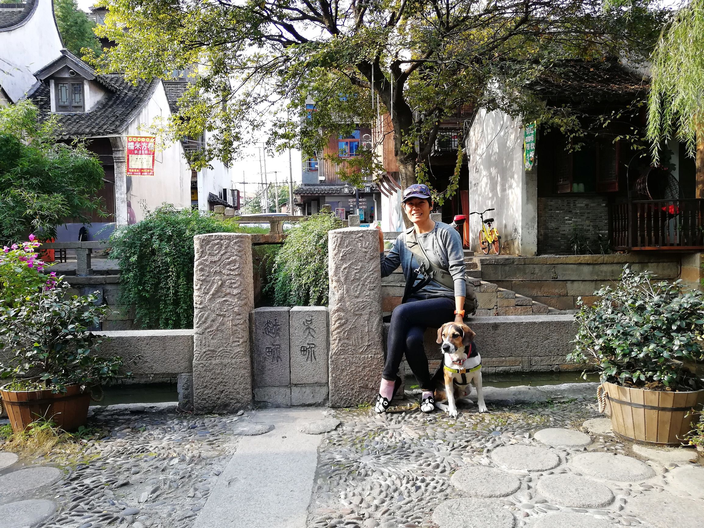 上海好玩地方推荐枫泾古镇,上海金山枫泾古镇地址