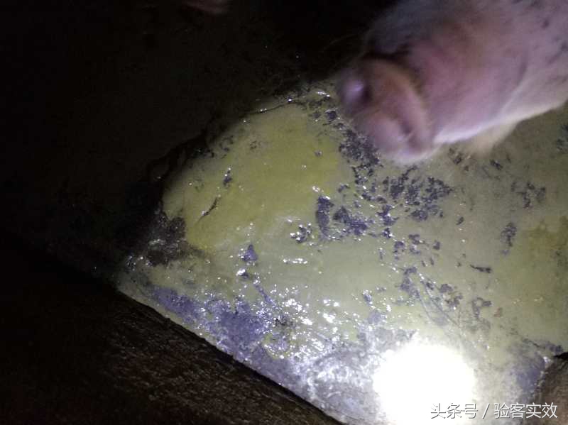 猪群腹泻严重怎么控制,仔猪病毒性腹泻最快解决方法