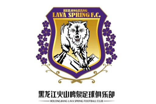 哈尔滨毅腾球迷助威,哈尔滨毅腾球迷打辽宁