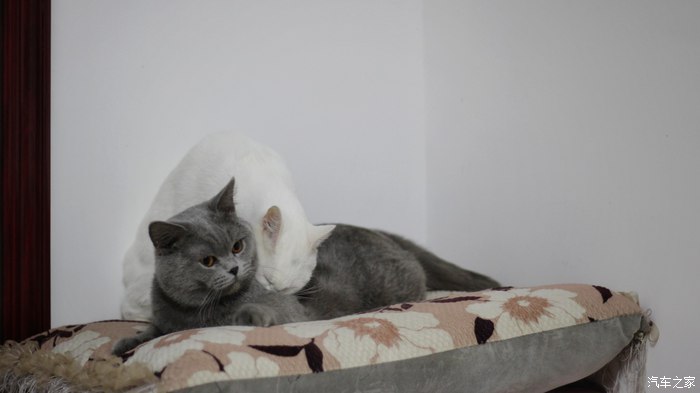 涨知识一些你不知道的秘密,汽车用品各种使用方法