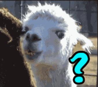 金拱门是什么东西,金拱门高端叫法