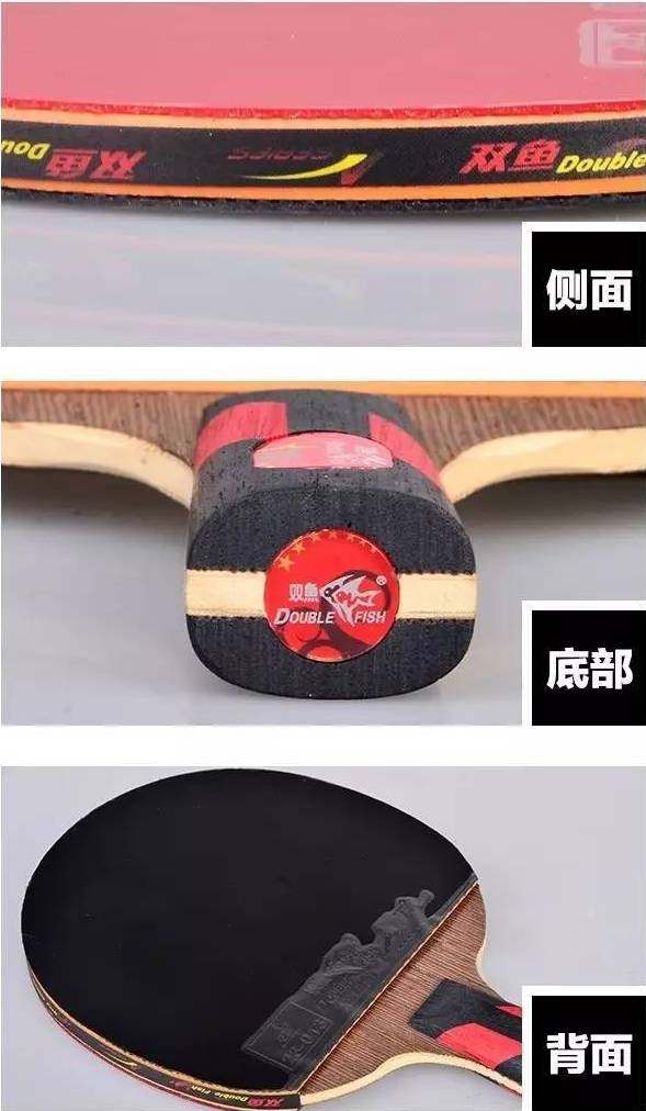 别被骗啦，教你怎么鉴别蝴蝶和双鱼乒乓球拍真假！