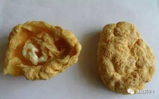 一个植物多个来源的中药,功效相似的药材有哪些中药