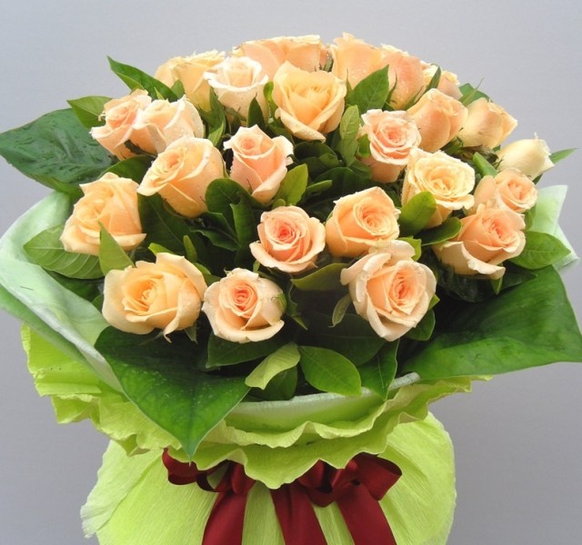 各个颜色玫瑰花的花语是什么呢,各种颜色玫瑰花所代表的花语