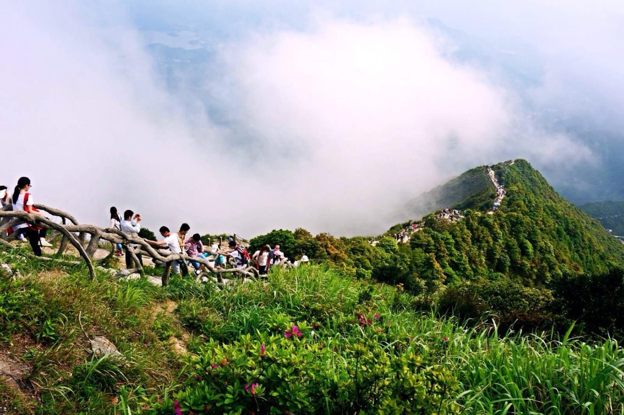 鹏城第一峰梧桐山要不要门票,鹏城第一峰梧桐山顶