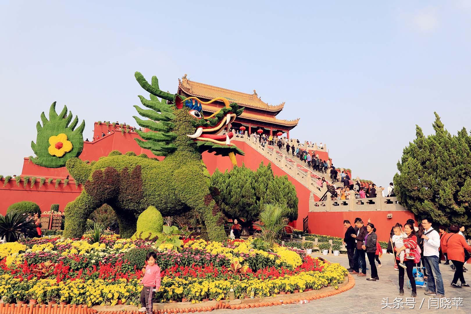 悠然菊影从何觅？南山菊姿下龙亭