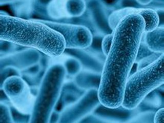 治疗厌氧菌的药物都有哪些,对厌氧菌作用较强的药物