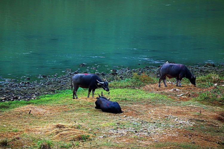 闽中明珠尤溪，八山一水一分田