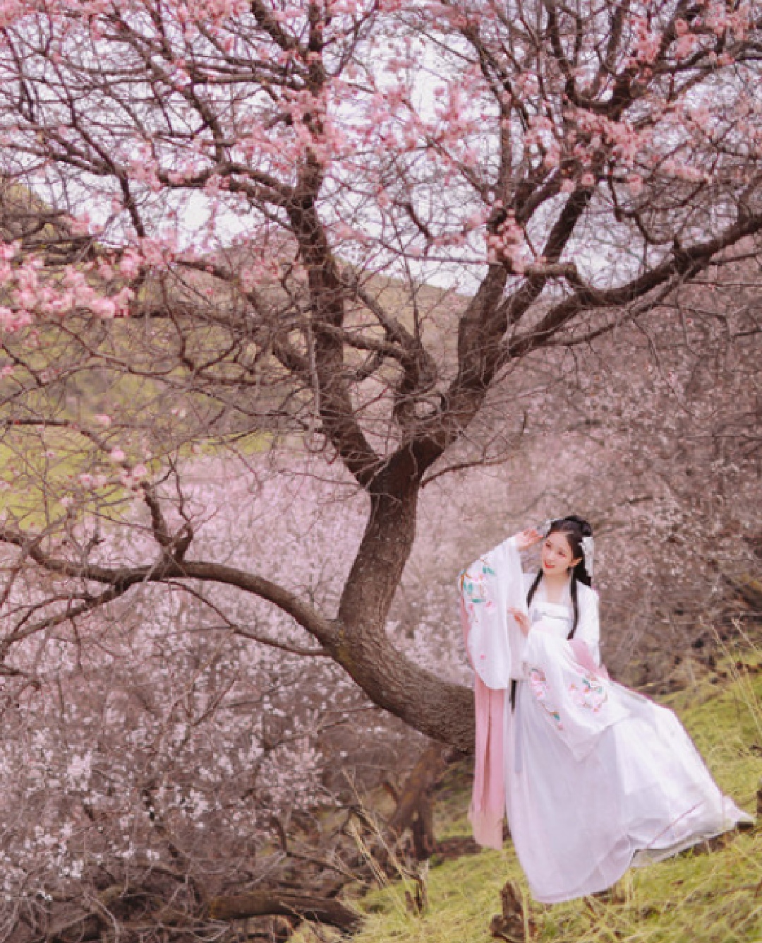 她，是不遇的传说