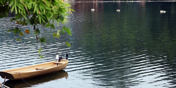 闽中明珠尤溪，八山一水一分田
