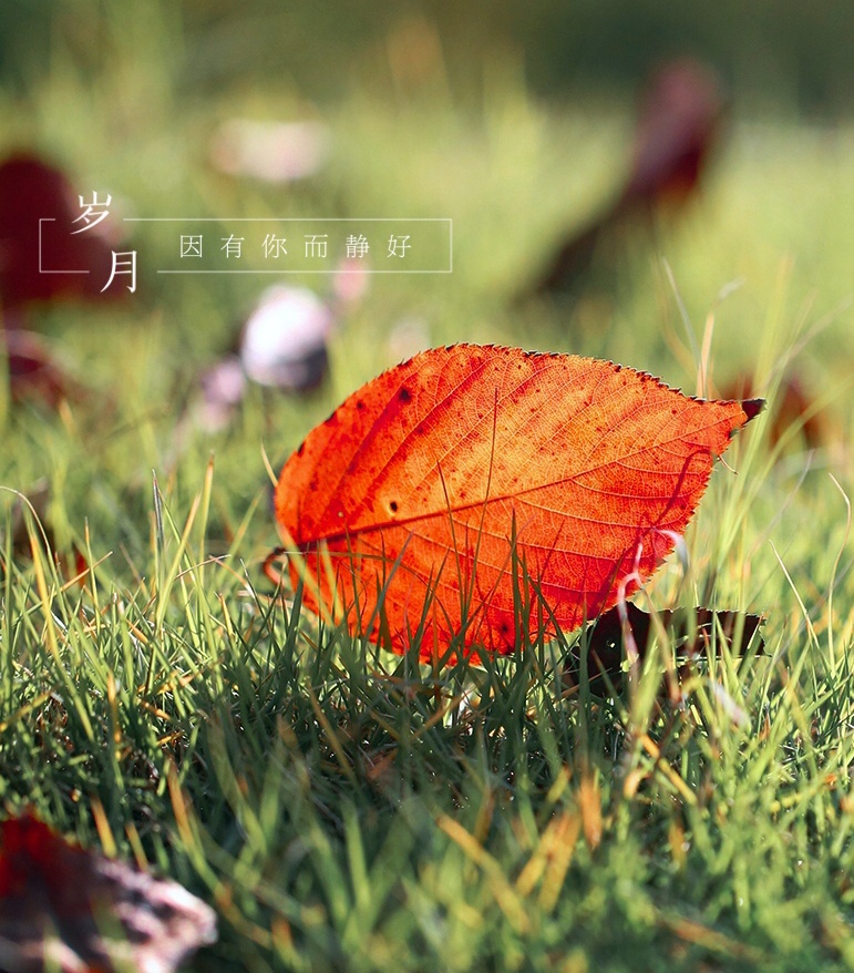 微信朋友圈相册图片封面简单干净,朋友圈20张图片拼图