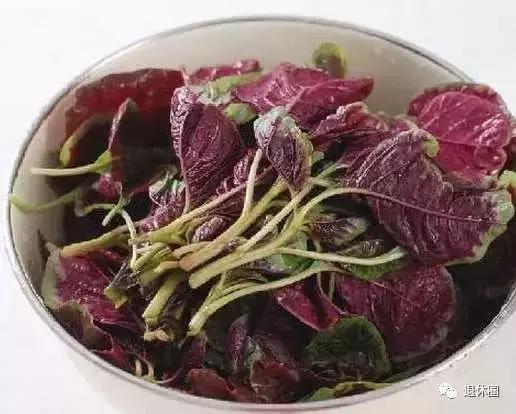 疾病相差万里，为啥治疗方案都一样？他们却这样解释……