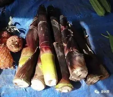 疾病相差万里，为啥治疗方案都一样？他们却这样解释……