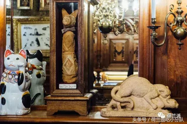 同样是撸猫，看看荷兰人和我们有什么不一样！