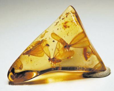 揭秘假琥珀,揭露市场上一些假琥珀蜜蜡