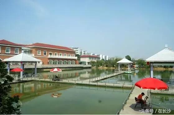 农家乐游玩向往的生活,向往的生活杭州余杭农家乐