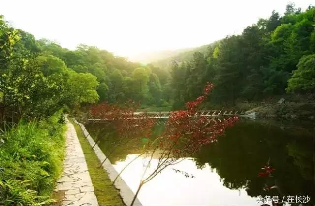 农家乐游玩向往的生活,向往的生活杭州余杭农家乐